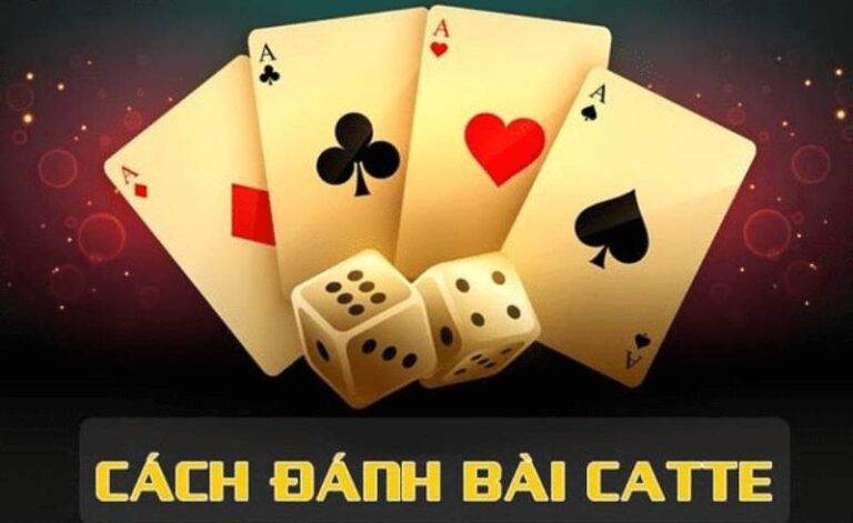 Catte Là Gì? Hướng Dẫn Chi Tiết Từ A Đến Z Cho Người Mới 14 Catte Là Gì? Hướng Dẫn Chi Tiết Từ A Đến Z Cho Người Mới